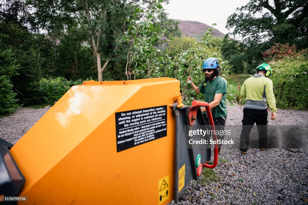 Tree Surgeons Shredding Trees On Rural Estate High-Res Stock Photo ...