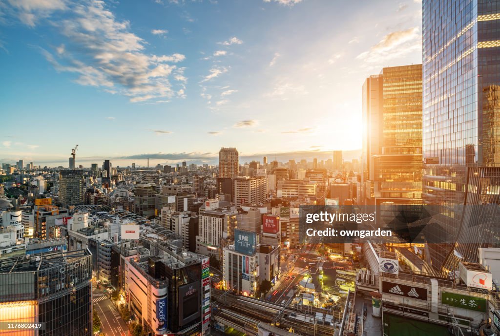 Skyscrapers in Tokyo in the morning