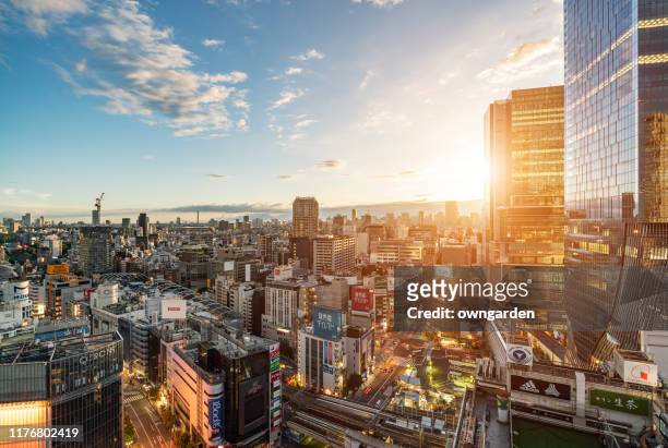 skyscrapers in tokyo in the morning - japan sunrise stockfoto's en -beelden