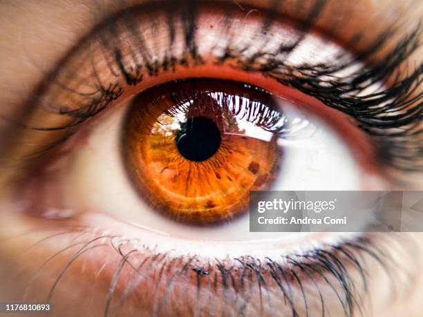 close-up of a young woman brown eye - iride foto e immagini stock