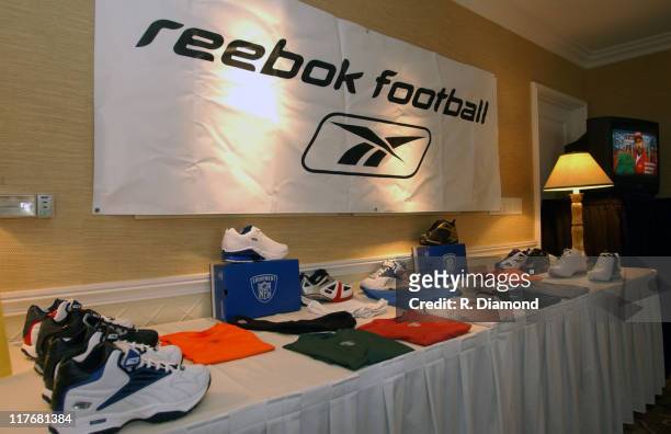 Atmosphere {5-15/18-03} during Reebok NFL Players Rookie Premiere Presented by 989 Sports at LA Coliseum in Los Angeles, California, United States.