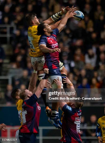 Mike Hook Rugby 942 Mike Williams Rugby Stock Photos, High-Res Pictures, and Images ...