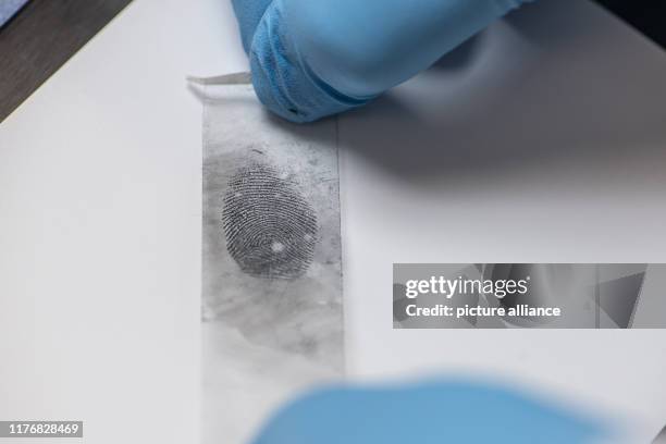 October 2019, Bavaria, Amberg: ILLUSTRATION - A police officer secures a fingerprint in the forensic laboratory. Photo: Armin Weigel/dpa