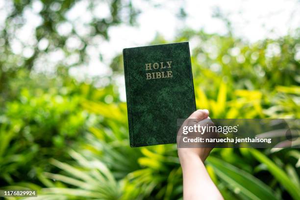 man holding old bible book on green background - trust god stock pictures, royalty-free photos & images