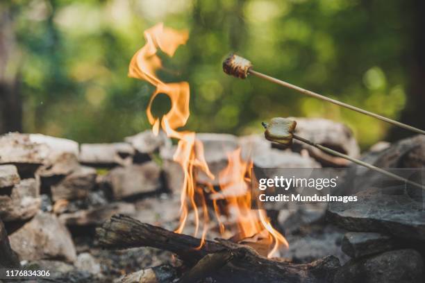 roasting marshmallows over a camp fire. - marshmallow stock pictures, royalty-free photos & images