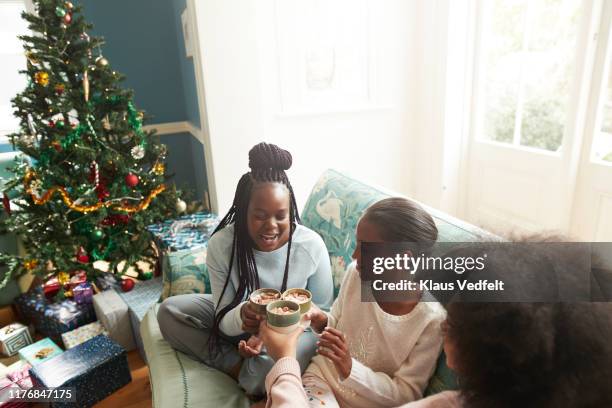 sisters toasting drinks at home during christmas - 12 days of christmas fotografías e imágenes de stock