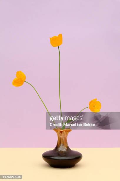 vintage vase with flowers - poppies in vase stock pictures, royalty-free photos & images