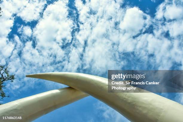 travel pov - iconic elephant tusks on moi avenue of mombasa, kenya - mombasa stock pictures, royalty-free photos & images