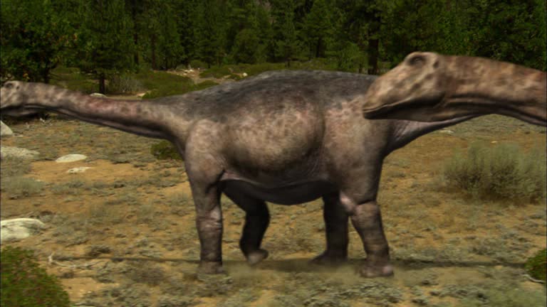 Brontosaurus Run Brontosaurus Videos and HD Footage - Getty Images
