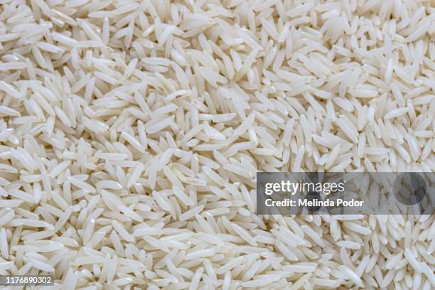 Generic Rice 2,848 Basmati Rice Stock Photos, High-Res Pictures, and Images - Getty ...