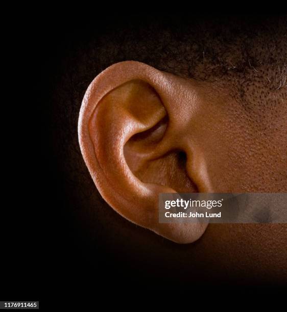 human ear dramatic lighting - ears photos et images de collection