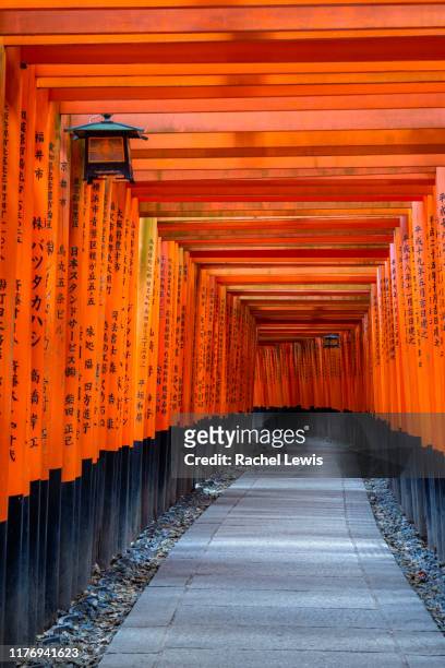 torii gates at the fushimi inari shrine, kyoto. - inari shrine stock pictures, royalty-free photos & images