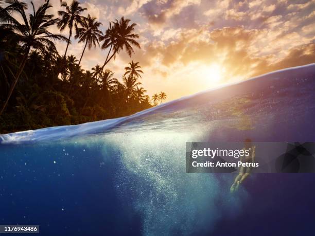 underwater scene with tropical fishes. snorkeling in the tropical sea - woman diving underwater stock pictures, royalty-free photos & images