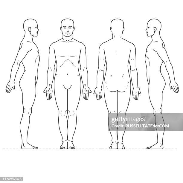 männliche schmerzdiagramm-zeichen - autopsie stock-grafiken, -clipart, -cartoons und -symbole