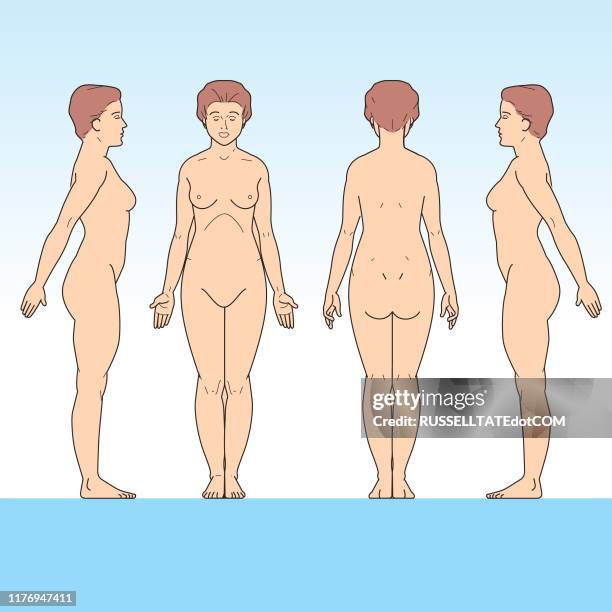 weibliche schmerzdiagramm zeichen fleisch - autopsie stock-grafiken, -clipart, -cartoons und -symbole