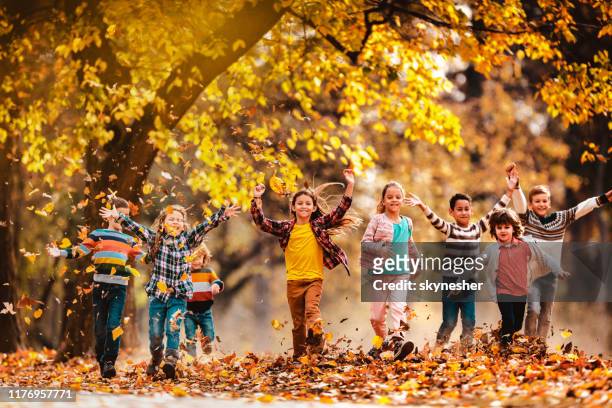 playful children having fun while running in autumn day at the park. - young leafs stock pictures, royalty-free photos & images