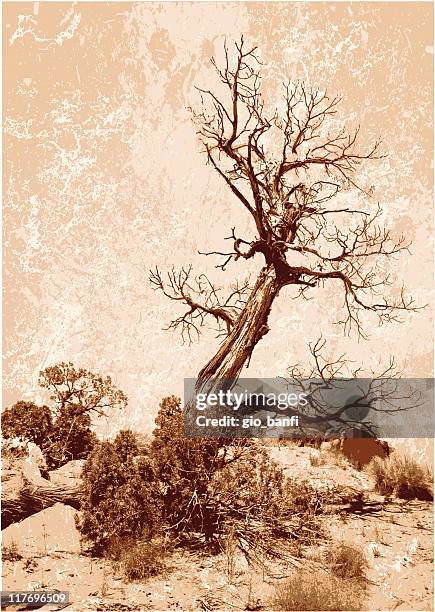 grunge dead tree - dead tree stock illustrations