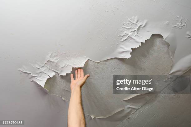 man´s hand removing baffles from ceiling paint, it has been peeled off by moisture. plumbing work at home - luchtvochtigheid stockfoto's en -beelden