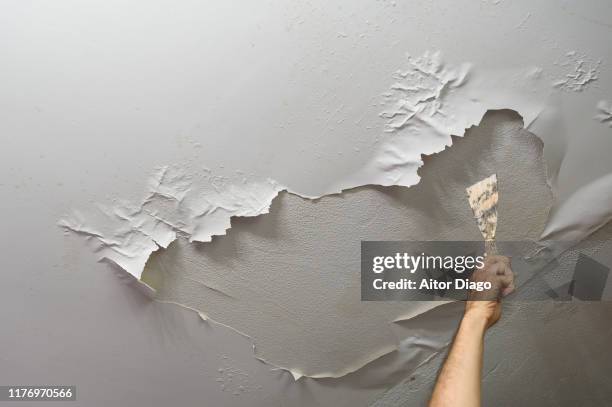 man´s hand holding a spatula in his hand, pointing to the ceiling in which the paint has been peeled off by moisture. plumbing work at home - damp wall stock pictures, royalty-free photos & images