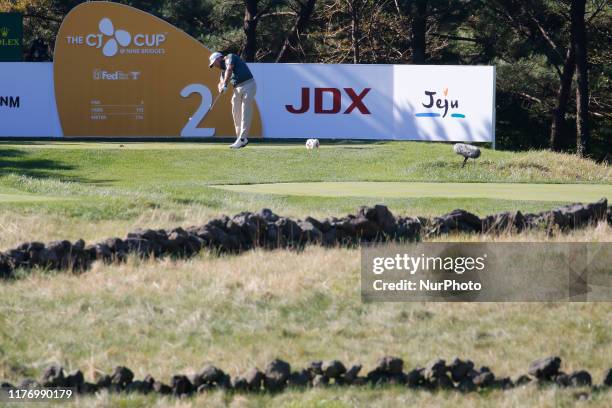 Graeme McDowell of Northern Ireland action on the green during an PGA Tour The CJ Cup Nine Bridges Final Round at Nine Bridges Golf Club in Jeju,...