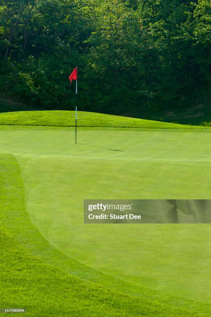 Putting green and flag