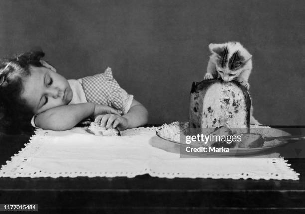 Cat eating a panettone while a little girl sleeping. 1957.