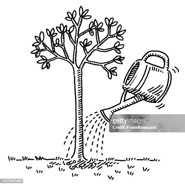 watering a small tree drawing - watering can stock illustrations