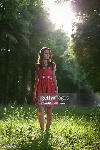 young women in red dress walking into a forest - yvelines stock pictures, royalty-free photos & images