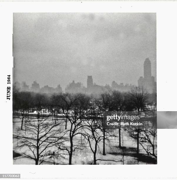 my view of central park - new york retro stock pictures, royalty-free photos & images