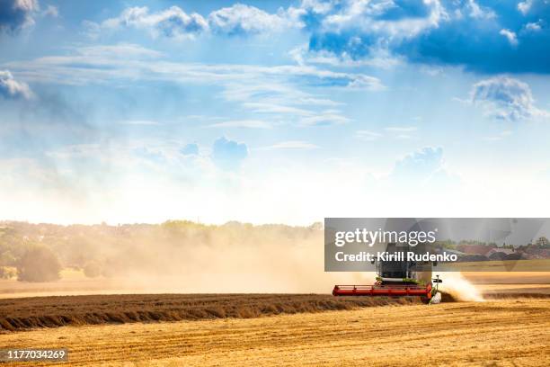 a harvester combine operating in a wheat field - champs tracteur photos et images de collection