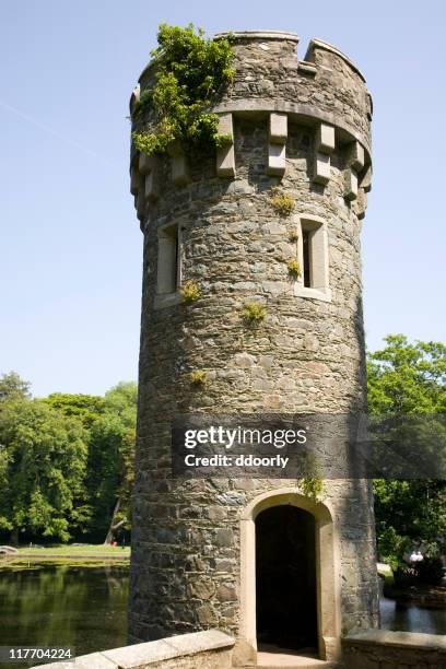 castle turret - medieval castle stock pictures, royalty-free photos & images