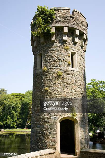 castle turret - torn bildbanksfoton och bilder