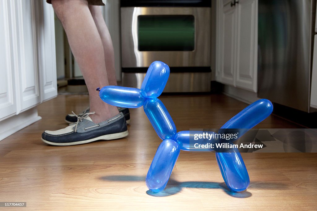 Ballon dog begging near owner's legs