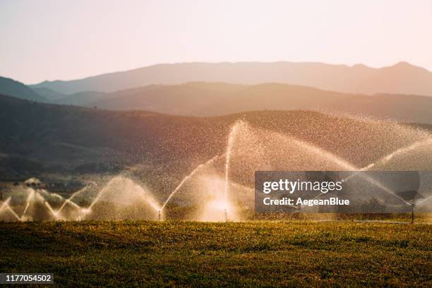 irrigated fields at sunset - watering farm stock pictures, royalty-free photos & images