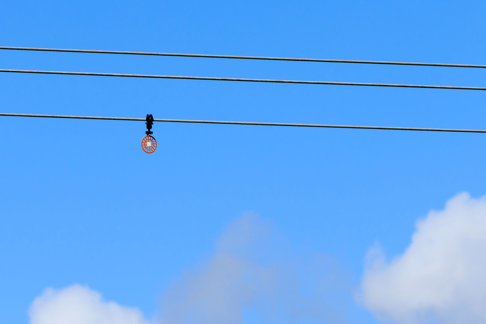 bird flight diverter