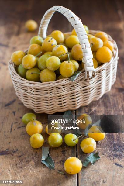 mirabelles in basketball - mirabelle plum stock pictures, royalty-free photos & images