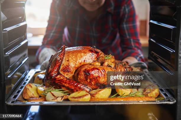 roasting turkey in the oven for holiday dinner - turkey imagens e fotografias de stock
