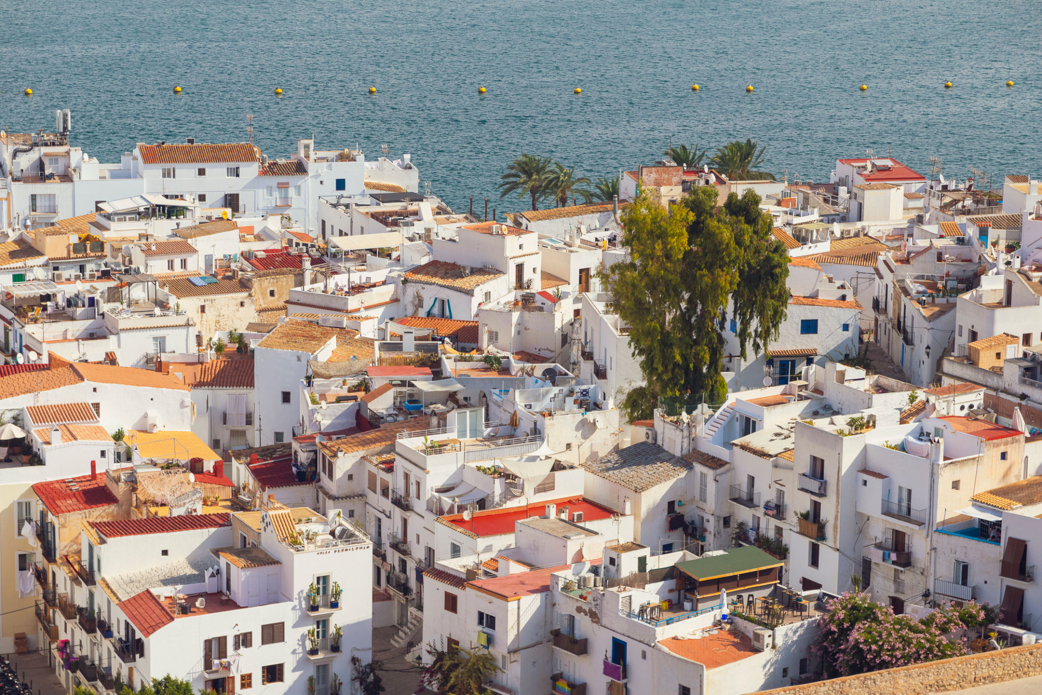 ibiza villa