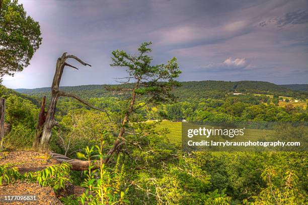 rockwood trail overlook - ozark mountains fotografías e imágenes de stock