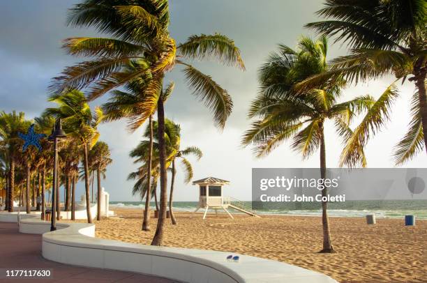 fort lauderdale beach, florida - beach hut foto e immagini stock