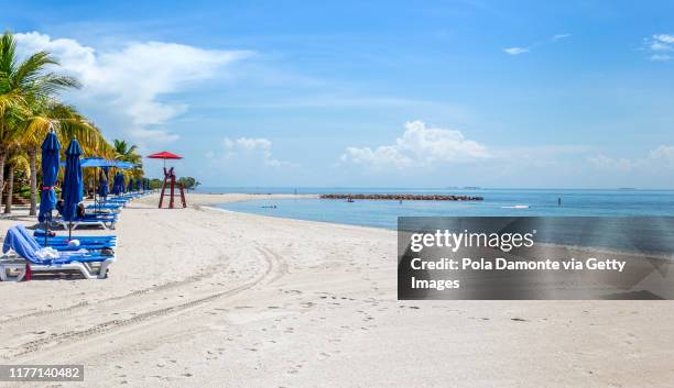 idyllic white sand beach in the caribbean sea in a sunny day, belize. - harvest caye stock pictures, royalty-free photos & images