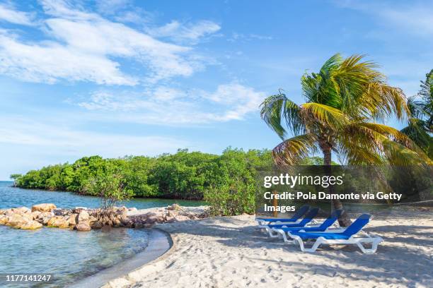 beach chairs in idyllic white sand beach in the caribbean sea in a sunny day, belize. - harvest caye stock pictures, royalty-free photos & images