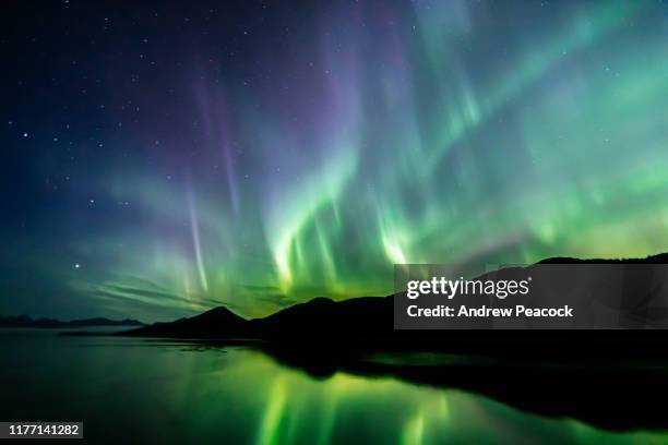 aurora borealis - nordlichter - südost-alaska - nordlicht stock-fotos und bilder