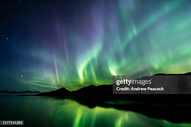 aurora borealis - auroras boreales - sureste de alaska - aurora borealis fotografías e imágenes de stock