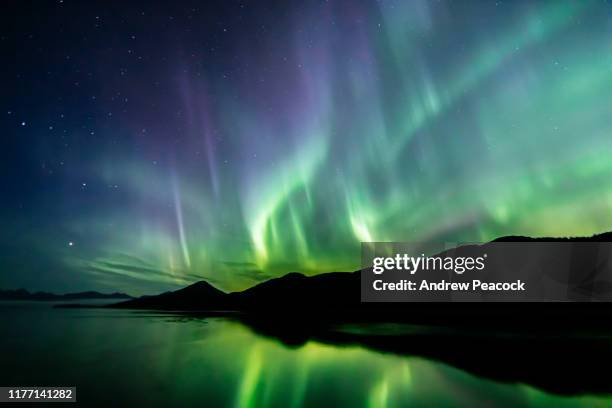 aurora borealis - northern lights - southeast alaska - northern lights stock pictures, royalty-free photos & images