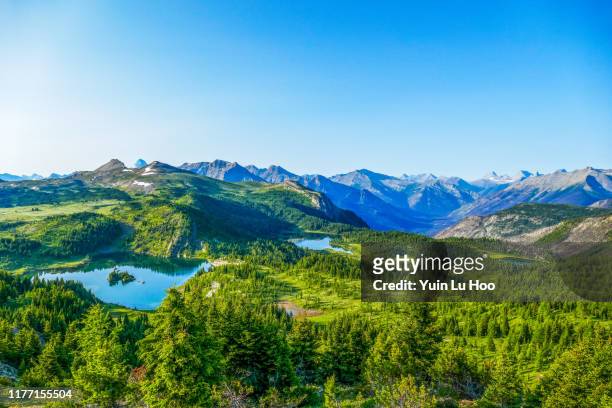 sunshine meadows vista, banff national park, canada - banff national park stock pictures, royalty-free photos & images