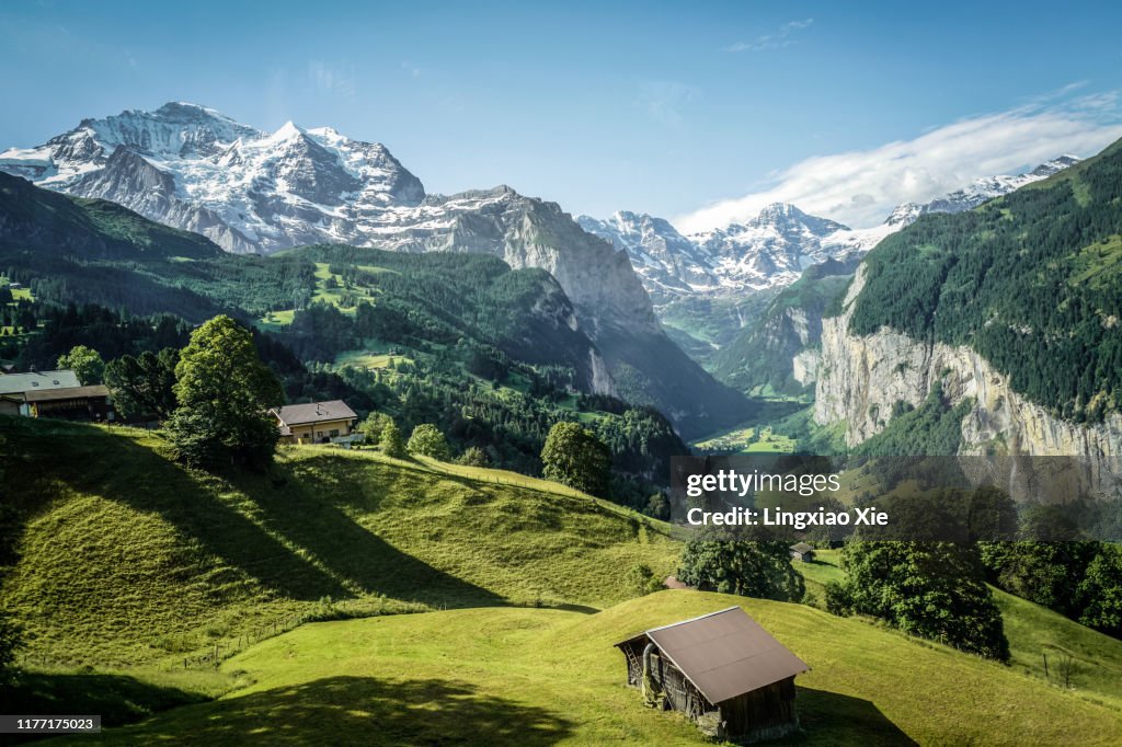 Famous Jungfrau mountain with forest and valley, Swiss Bernese Alps, Switzerland