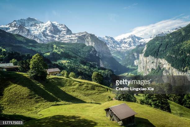 famous jungfrau mountain with forest and valley, swiss bernese alps, switzerland - landschaft stock-fotos und bilder