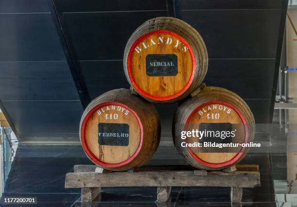 Wine Barrel, blandy's, Funchal, Madeira, Portugal, Weinfaesser, Blandy«s.