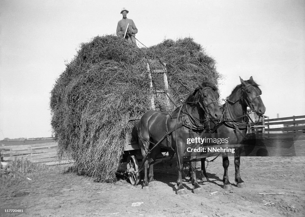 Hay carro de caballos y de barril con agricultor sobre 1941, retro